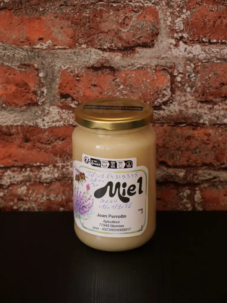 Miel de printemps 500g